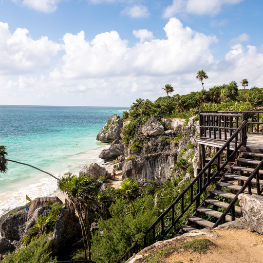 Bliss Wellness Retreat