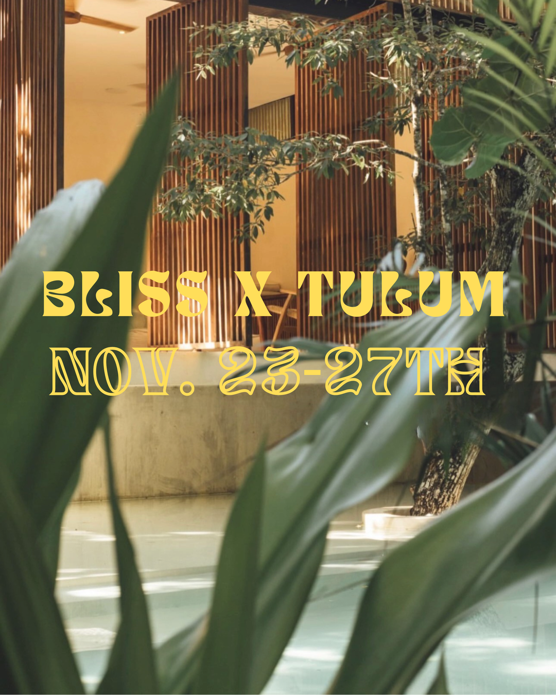 Bliss Wellness Retreat