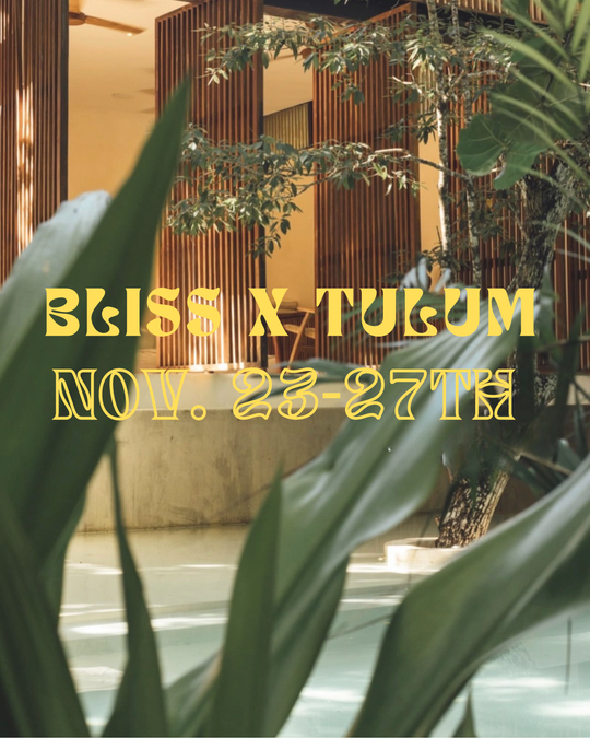 Bliss Wellness Retreat