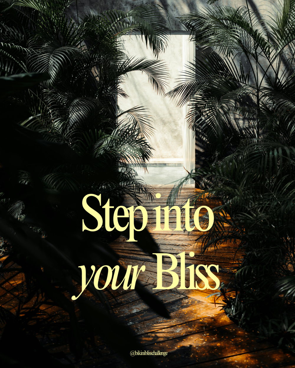 Bliss Wellness Retreat