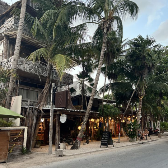 Bliss Wellness Retreat