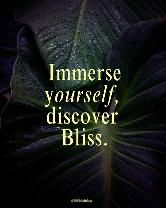 Bliss Wellness Retreat