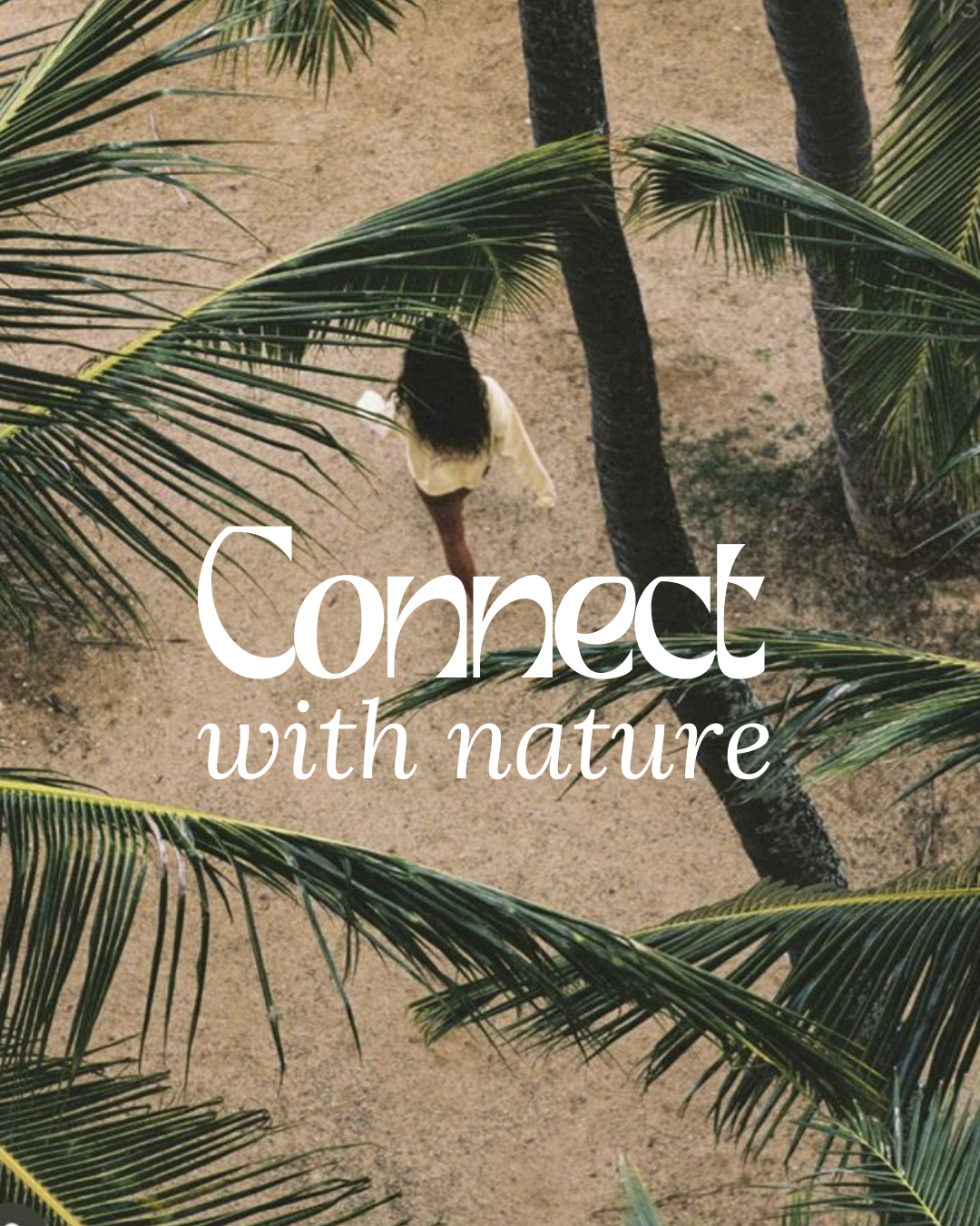 Bliss Wellness Retreat